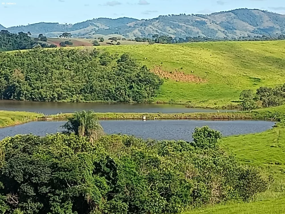 Fazenda, 78 hectares - Foto 4