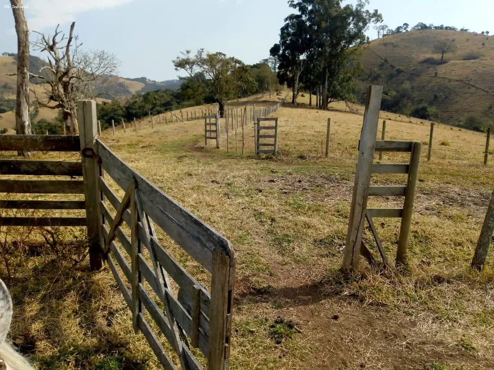 Fazenda, 53 hectares - Foto 12