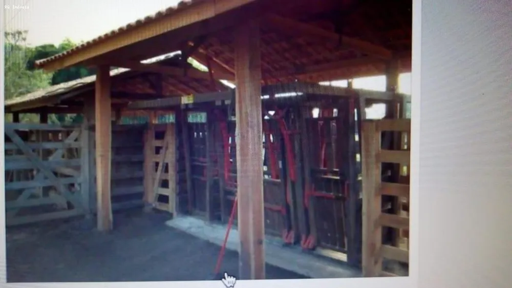 Fazenda, 53 hectares - Foto 15