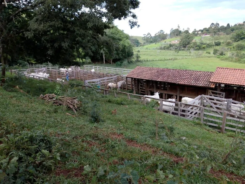 Fazenda, 53 hectares - Foto 5