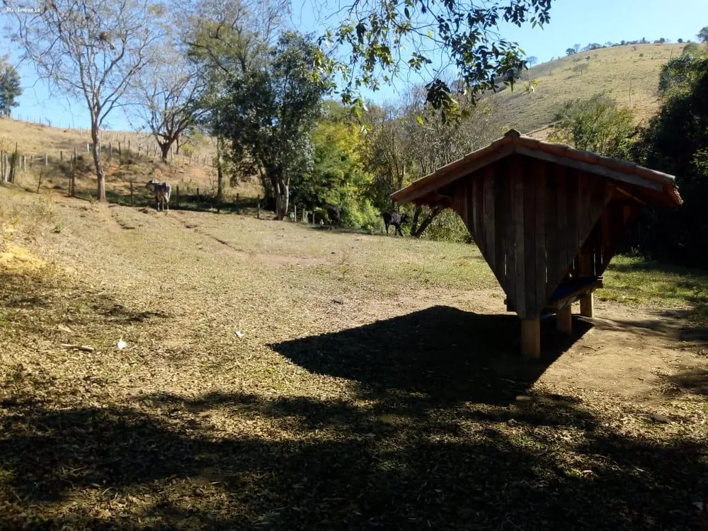 Fazenda, 53 hectares - Foto 4