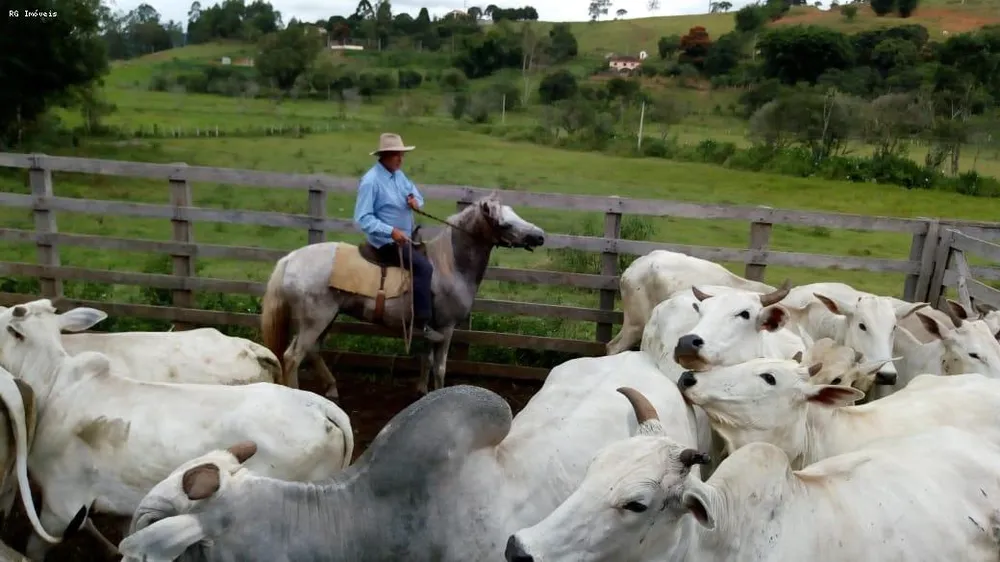 Fazenda, 53 hectares - Foto 3