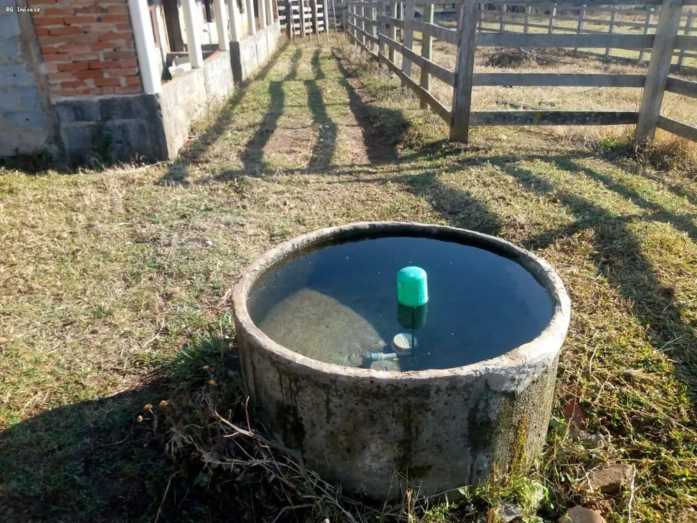 Fazenda, 53 hectares - Foto 2