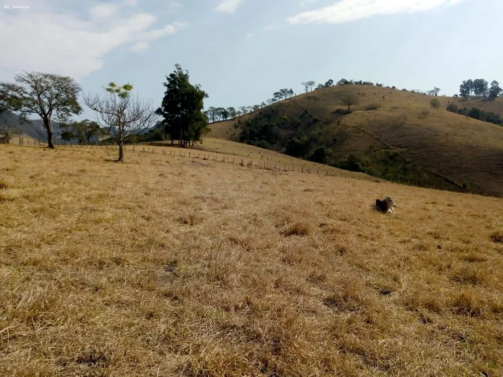 Fazenda, 53 hectares - Foto 9