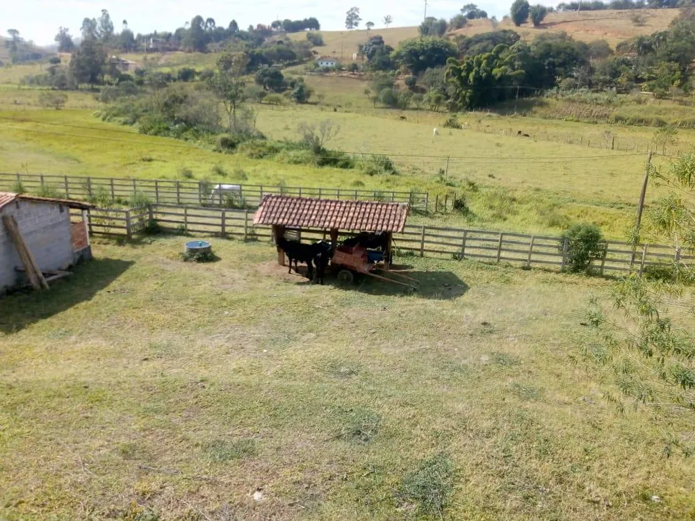 Fazenda, 53 hectares - Foto 11