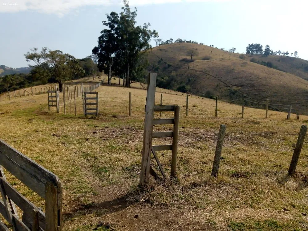 Fazenda, 53 hectares - Foto 10