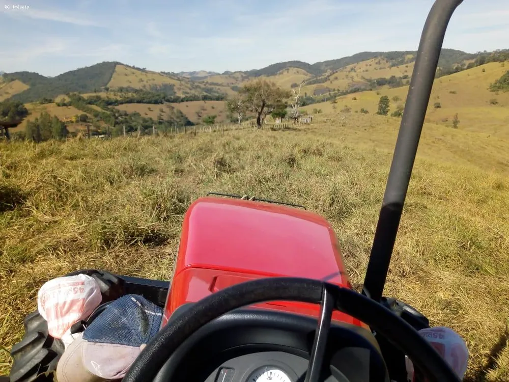 Fazenda, 53 hectares - Foto 16