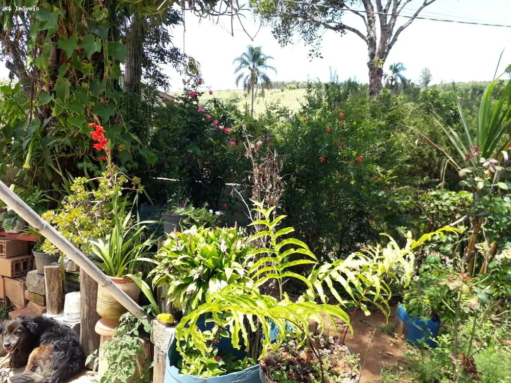 Chácara, 1 quarto, 780 m² - Foto 16