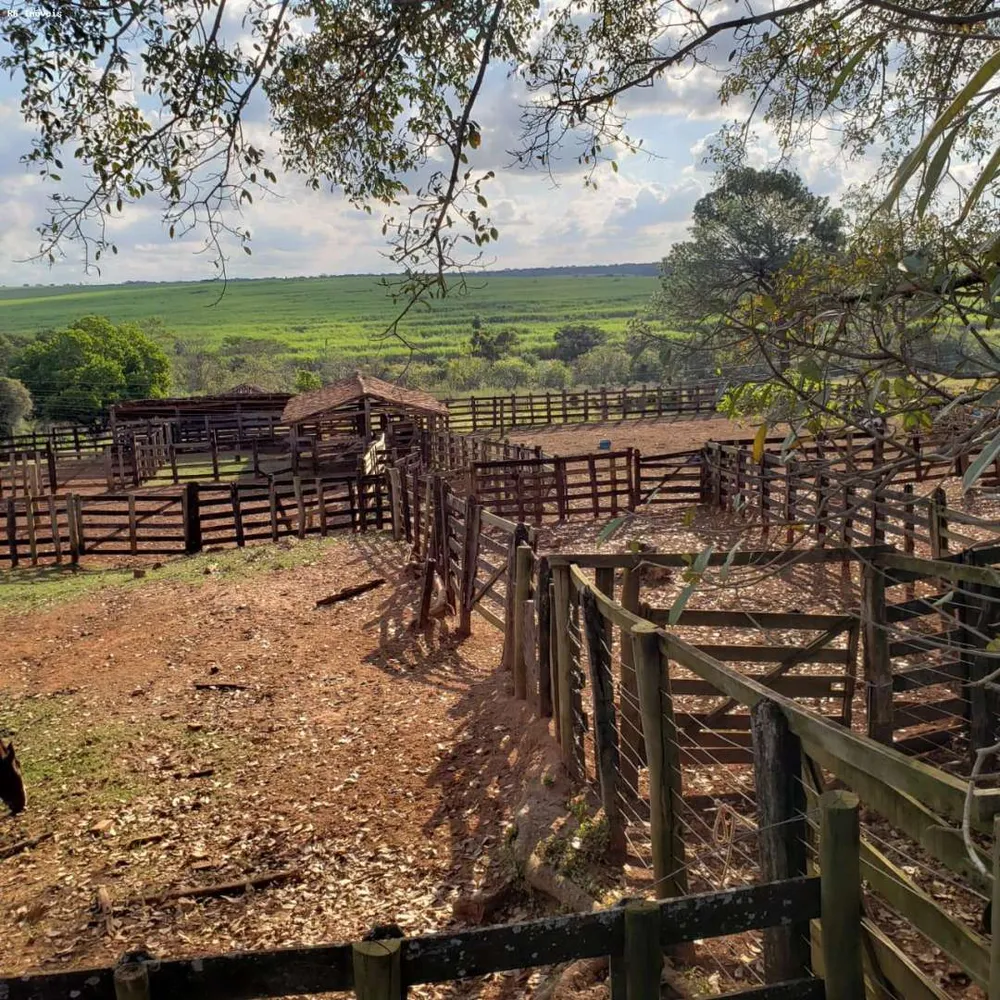 Fazenda, 358 hectares - Foto 8