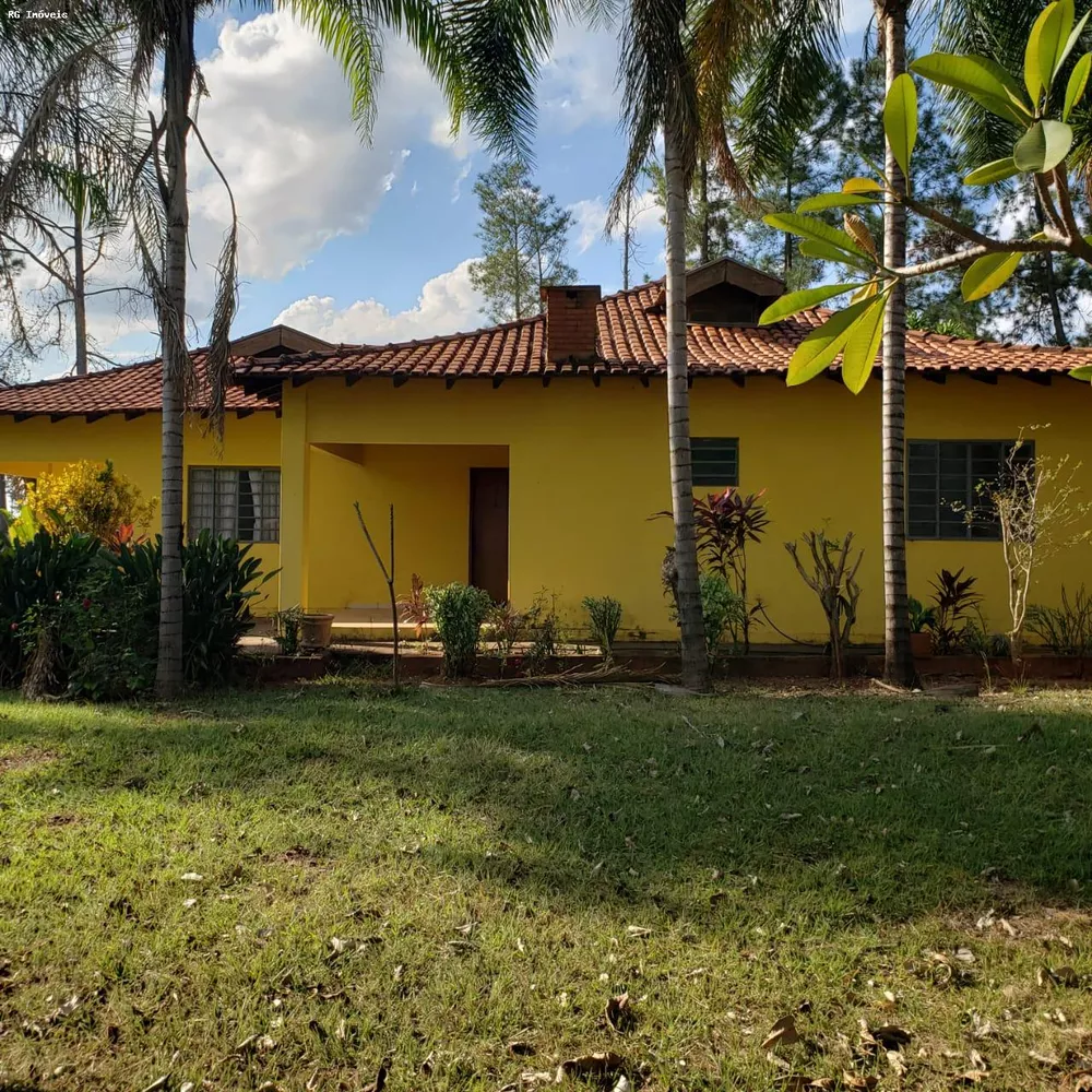 Fazenda, 358 hectares - Foto 1