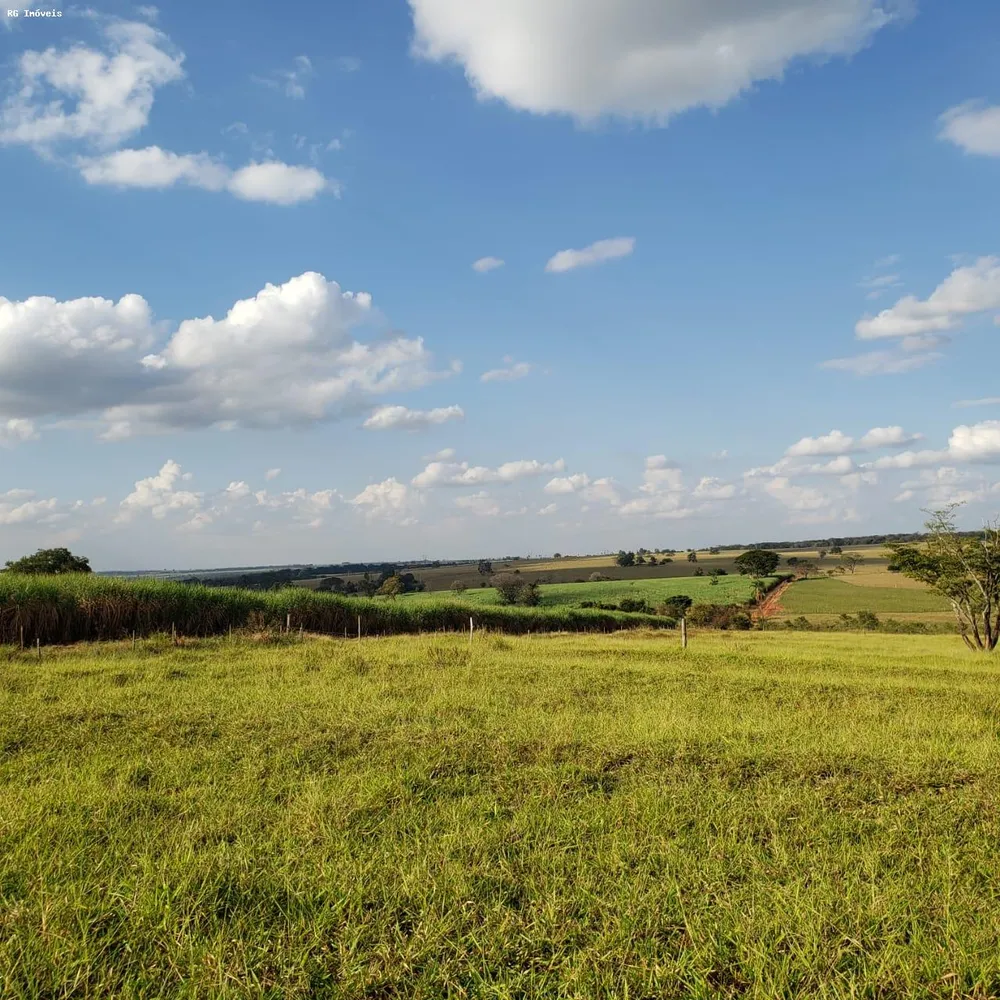 Fazenda, 358 hectares - Foto 16