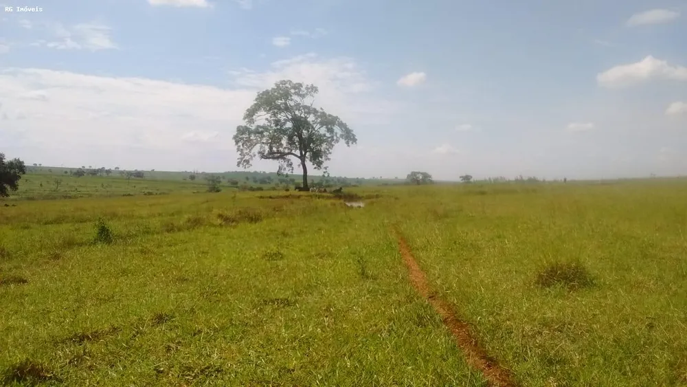 Fazenda, 358 hectares - Foto 11