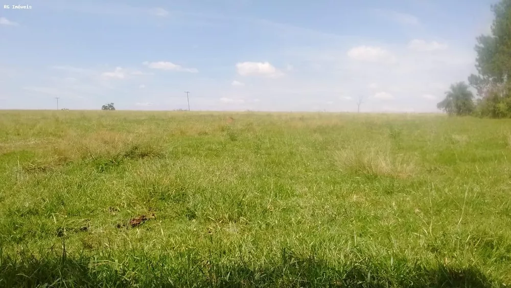 Fazenda, 358 hectares - Foto 4