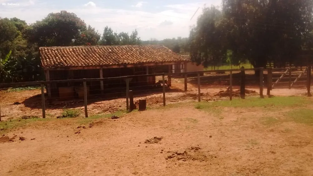 Fazenda, 358 hectares - Foto 9