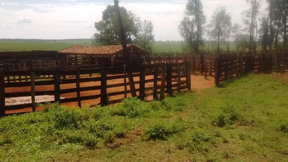 Fazenda, 358 hectares - Foto 6