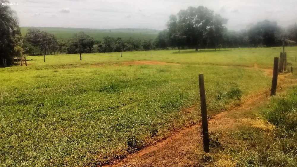 Fazenda, 358 hectares - Foto 13