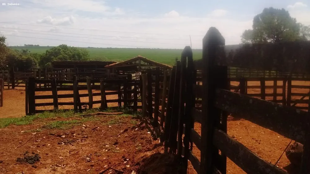 Fazenda, 358 hectares - Foto 7