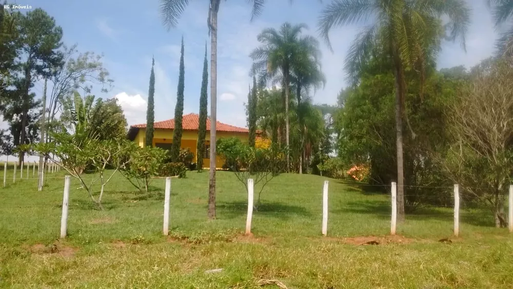 Fazenda, 358 hectares - Foto 3