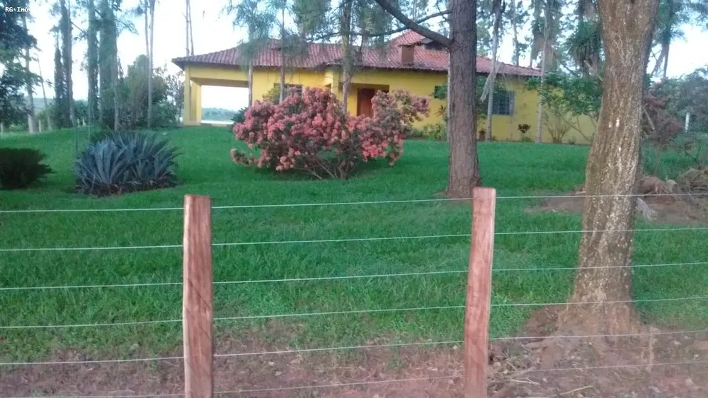 Fazenda, 358 hectares - Foto 4