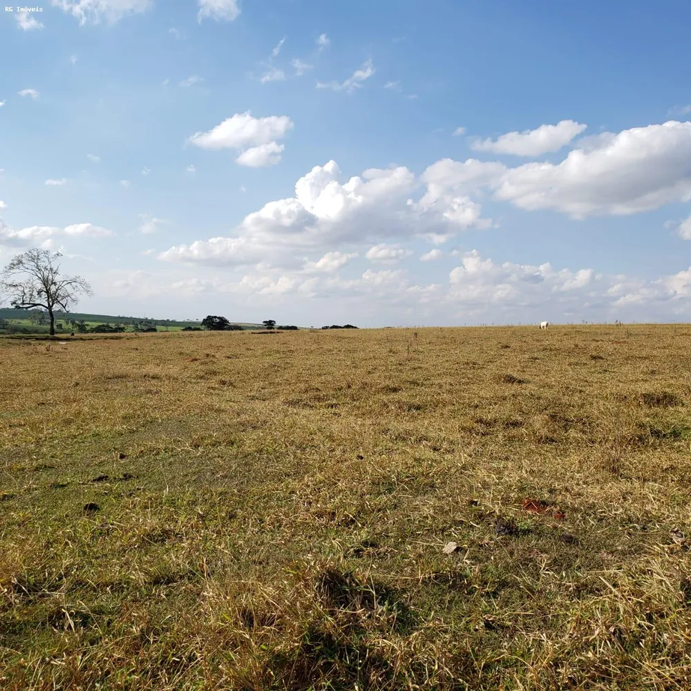 Fazenda, 358 hectares - Foto 15