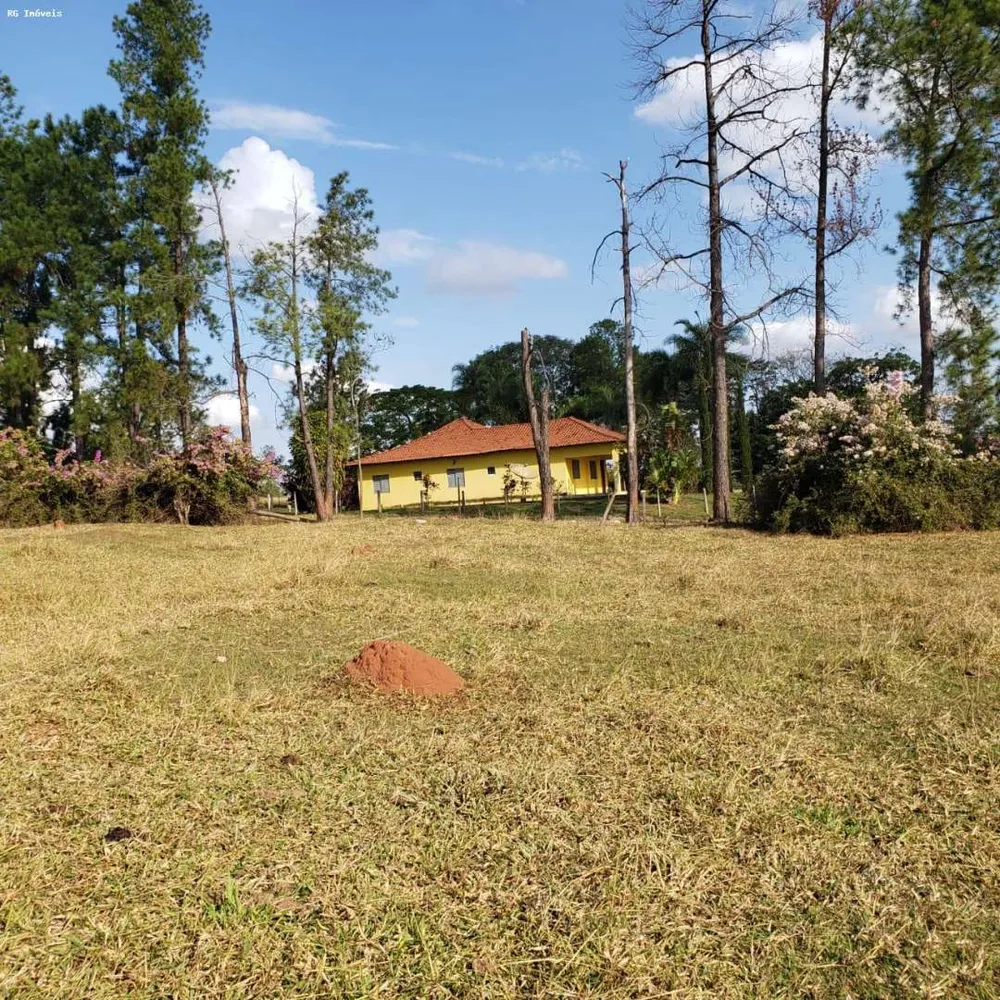 Fazenda, 358 hectares - Foto 3