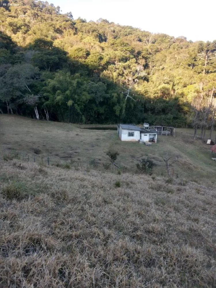 Apartamento, 2 quartos, 84700 m² - Foto 8