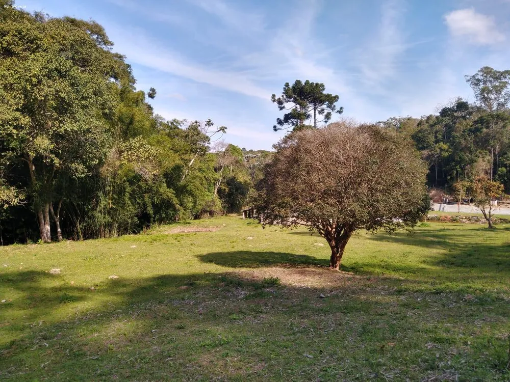 Apartamento, 2 quartos, 84700 m² - Foto 13