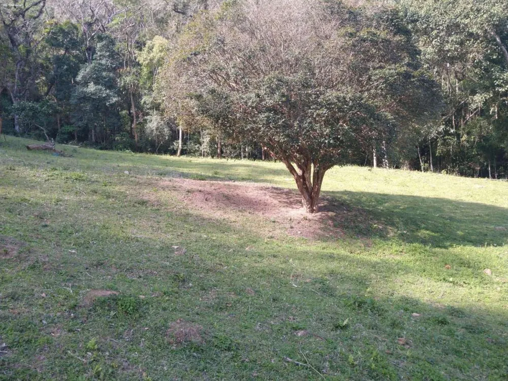 Apartamento, 2 quartos, 84700 m² - Foto 15