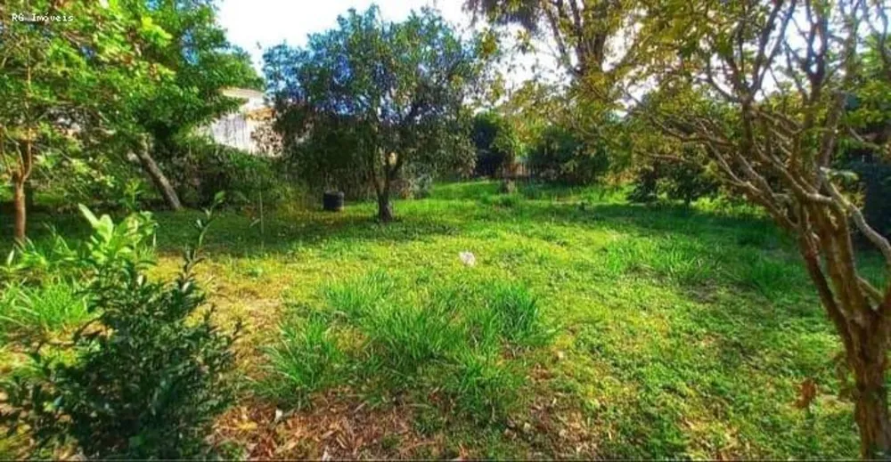 Chácara, 4 quartos, 3956 m² - Foto 9