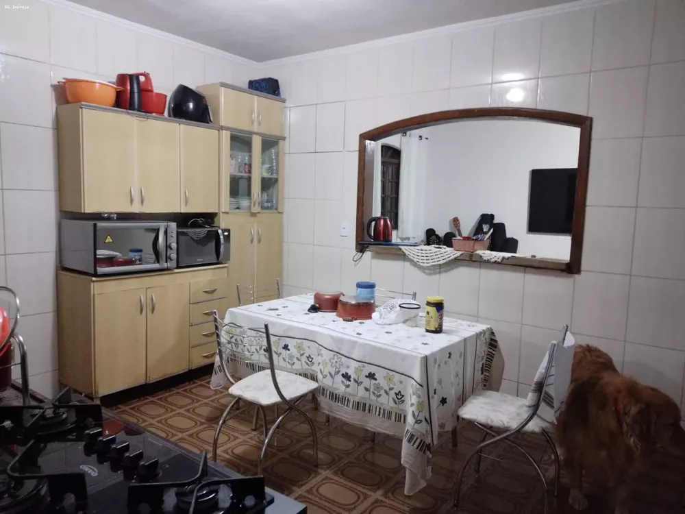 Chácara, 4 quartos, 3956 m² - Foto 3