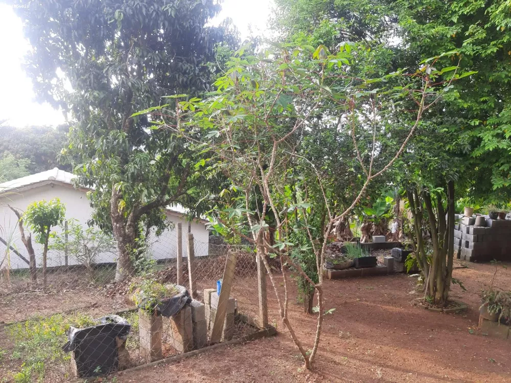 Chácara, 2 quartos, 1000 m² - Foto 4