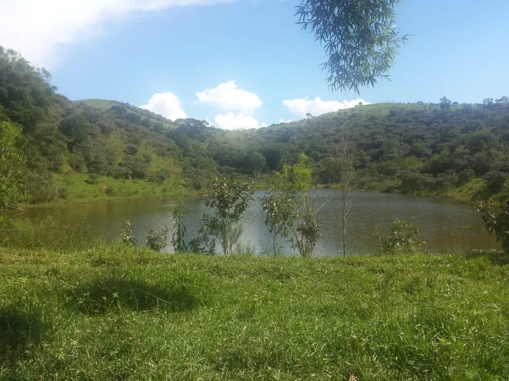 Fazenda, 232 hectares - Foto 7