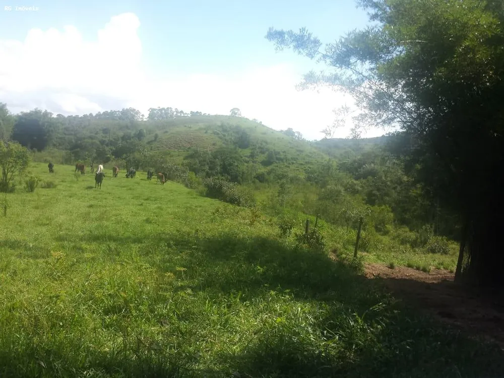 Fazenda, 232 hectares - Foto 11