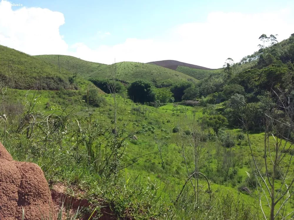 Fazenda, 232 hectares - Foto 4