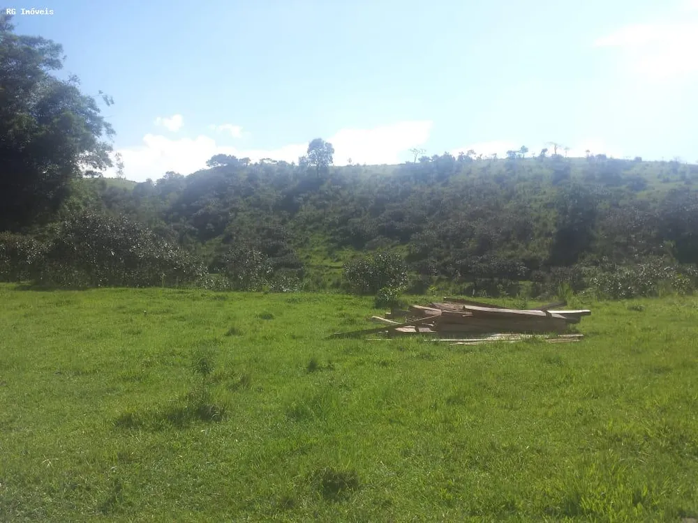 Fazenda, 232 hectares - Foto 9