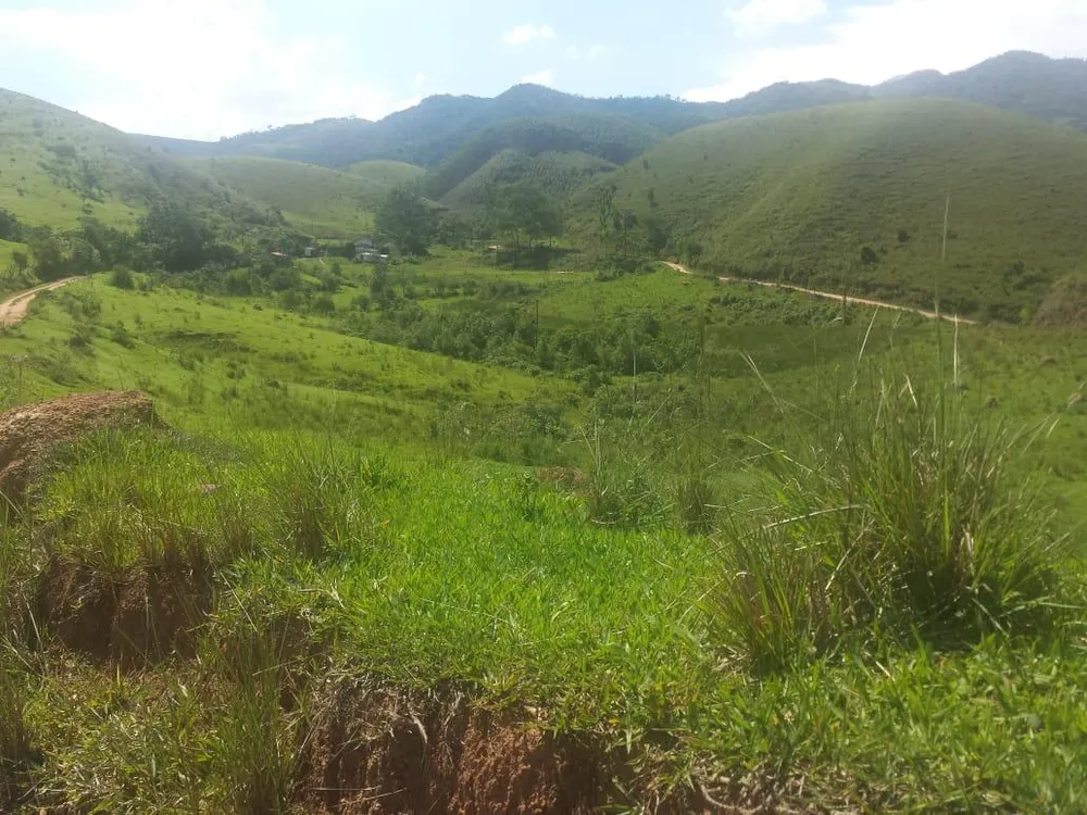 Fazenda, 232 hectares - Foto 12