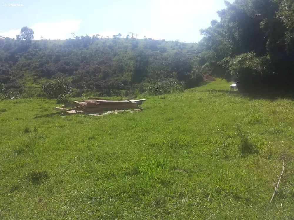 Fazenda, 232 hectares - Foto 3