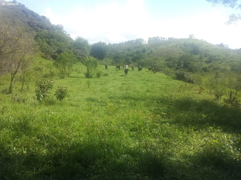 Fazenda, 232 hectares - Foto 5