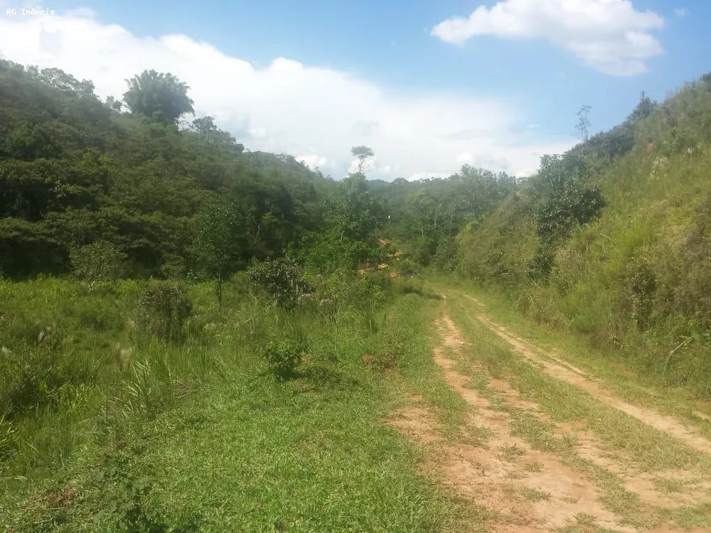 Fazenda, 232 hectares - Foto 11