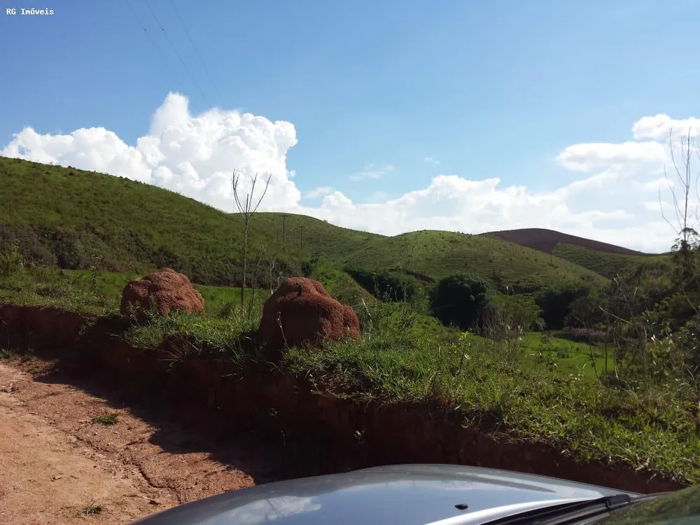 Fazenda, 232 hectares - Foto 8