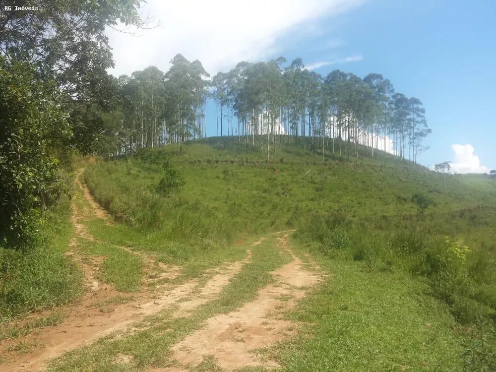 Fazenda, 232 hectares - Foto 2