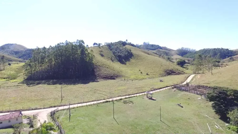 Fazenda, 999 hectares - Foto 12