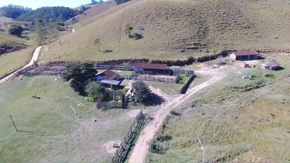 Fazenda, 999 hectares - Foto 7