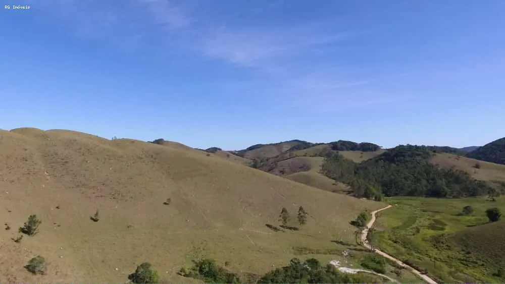 Fazenda, 999 hectares - Foto 11