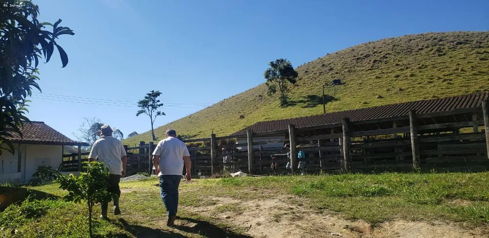 Fazenda, 999 hectares - Foto 6