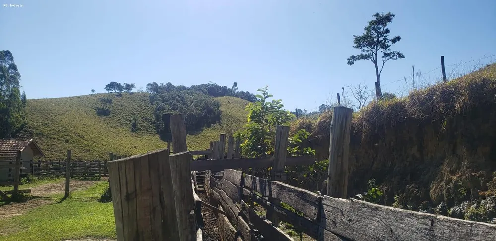 Fazenda, 999 hectares - Foto 8