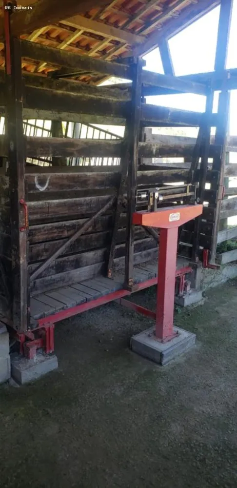 Fazenda, 999 hectares - Foto 4