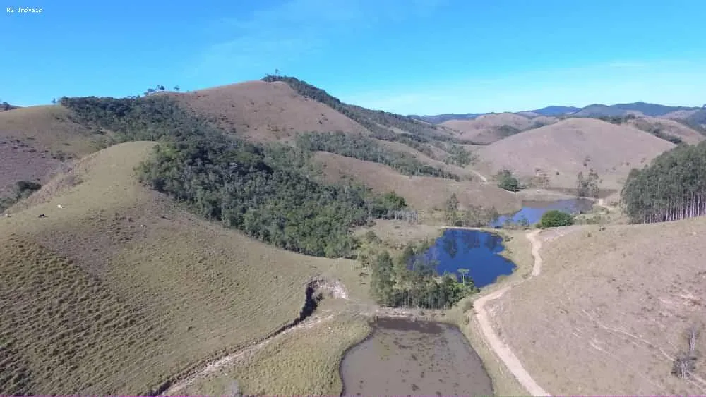 Fazenda, 999 hectares - Foto 14