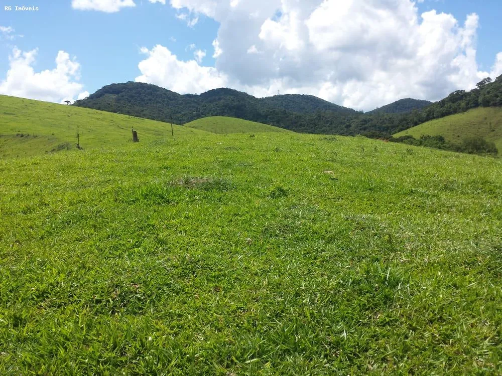 Fazenda, 145 hectares - Foto 11