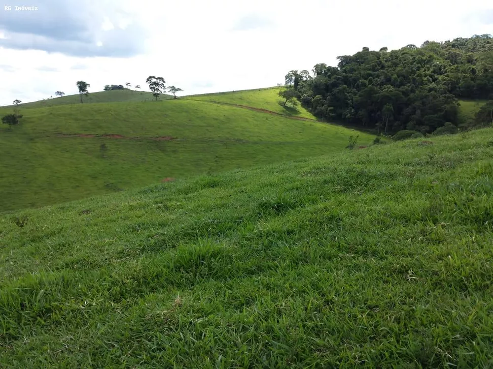Fazenda, 145 hectares - Foto 1